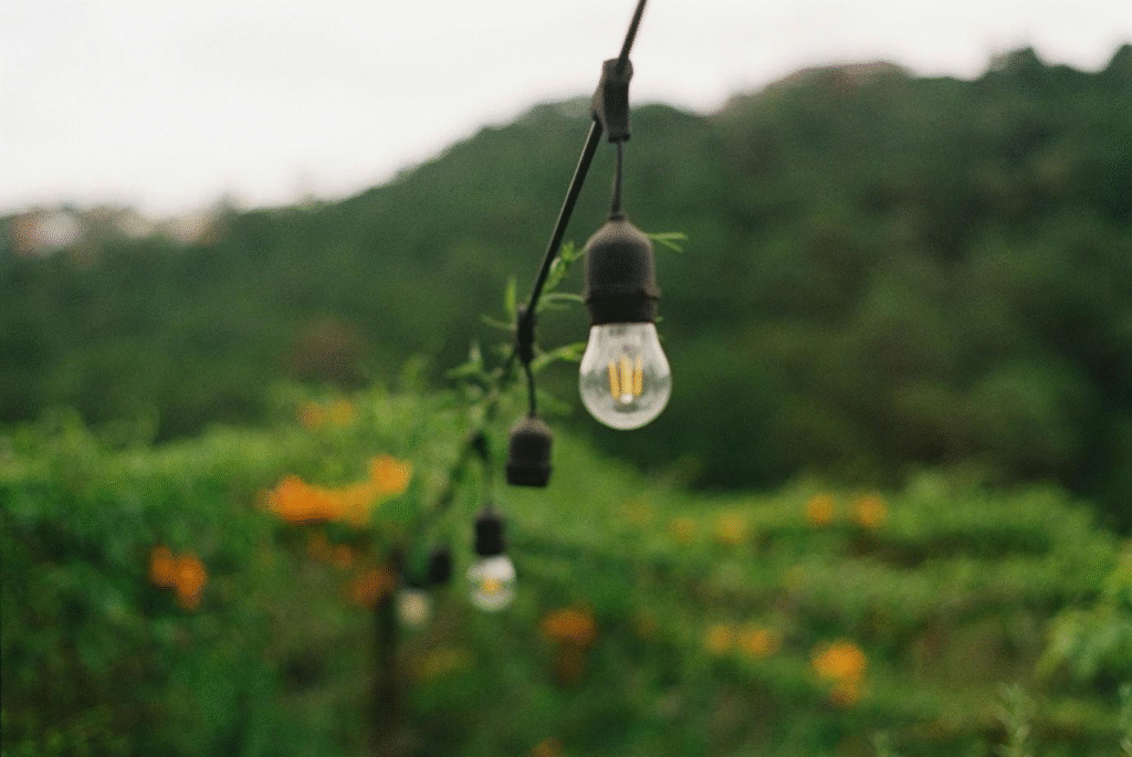 String lighting in a backyard